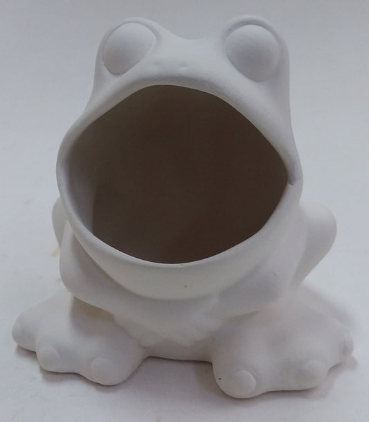 FROG SPONGE HOLDER AR774